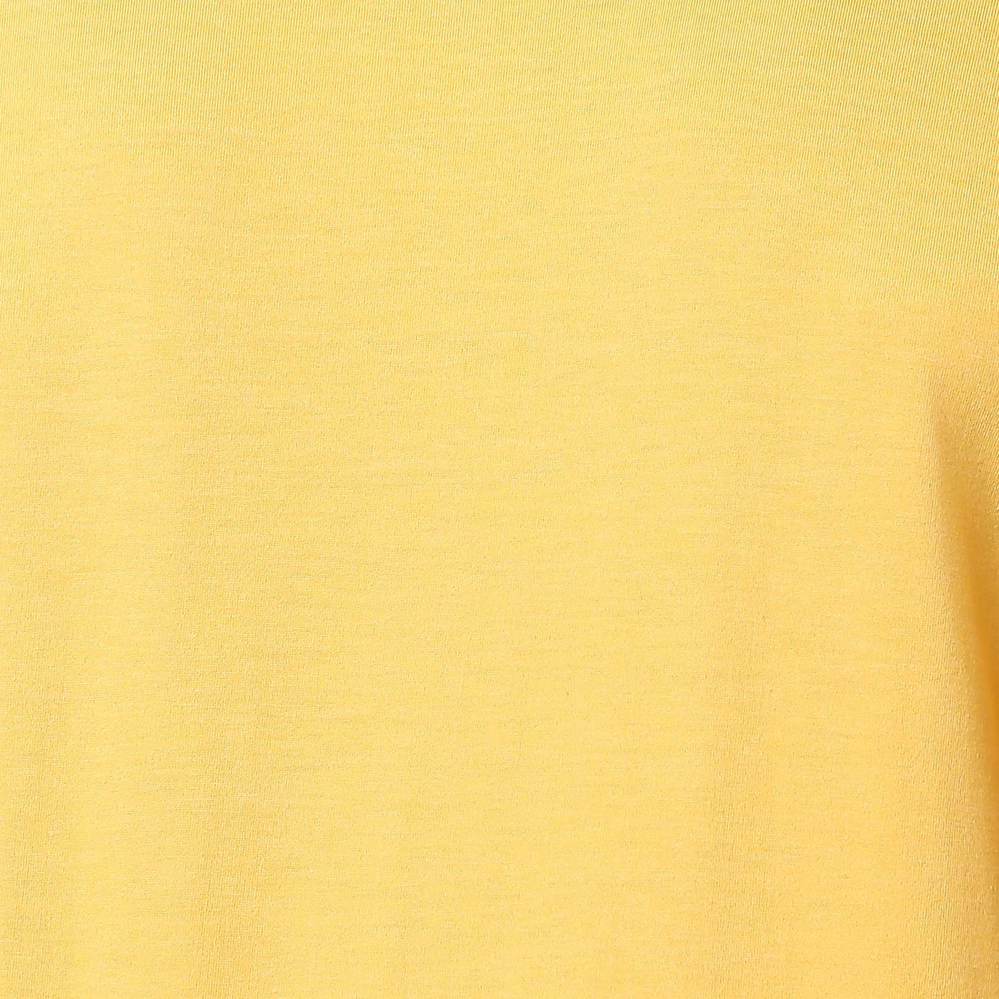 Raymond Men's Solid Regular Fit T-Shirt